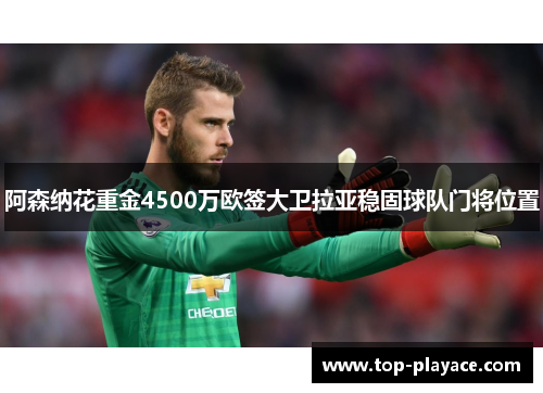 阿森纳花重金4500万欧签大卫拉亚稳固球队门将位置 阿森纳花重金4500万欧签大卫拉亚稳固球队门将位置